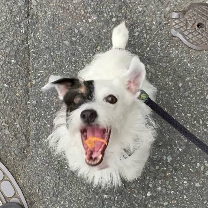 A428259a ec49 42ce 84fe a30840d9d515 1661298091657