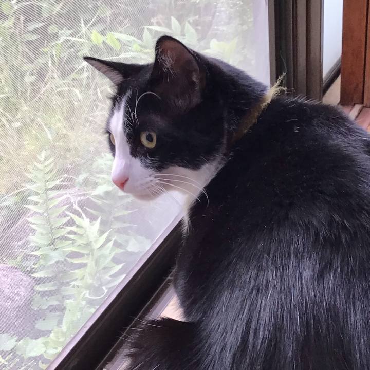 A4286ab5 dffe 4579 9467 80b272e37bf6 1652948688426