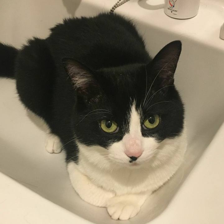 A4287955 95bb 46a2 9799 4872ee1a5309 1554981973093