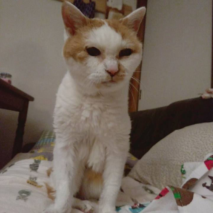 A428ae6b d2ca 409b 8310 bd4d49cb92ad 1593955282174