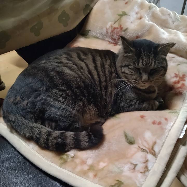 A428bd96 63b6 4032 a95e f38978c2c859 1767611361096