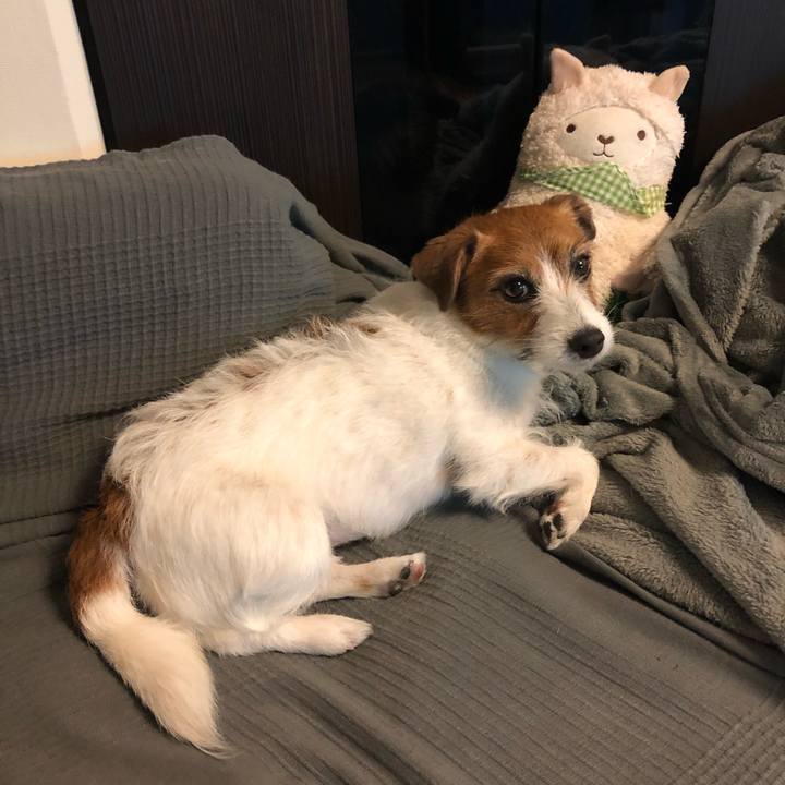 A4291ece f017 4077 9fd2 42fbe5ded85e 1588595172830