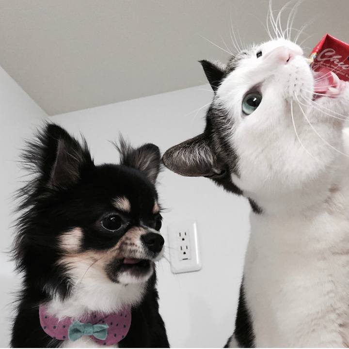 A4297b83 e812 44d6 b798 8d03bf16d430 1527028959617