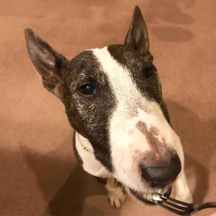 A4299930 d9d4 40d0 9675 8a0bbdf502e6 1526817174086