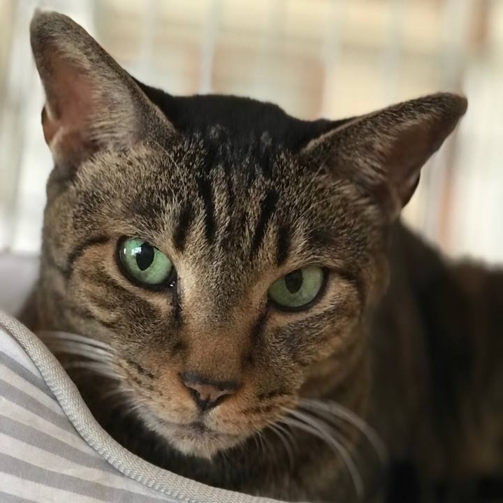 A429de03 fe97 4c30 9a16 567bd74b6dd4 1537318893247