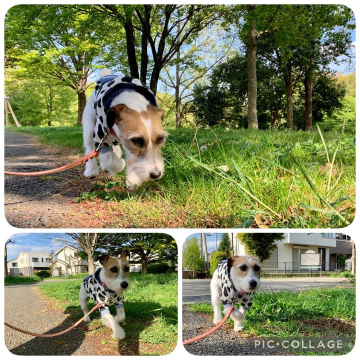 A429e5bb d3f4 463b 82c0 674186dbd98f 1618219132400