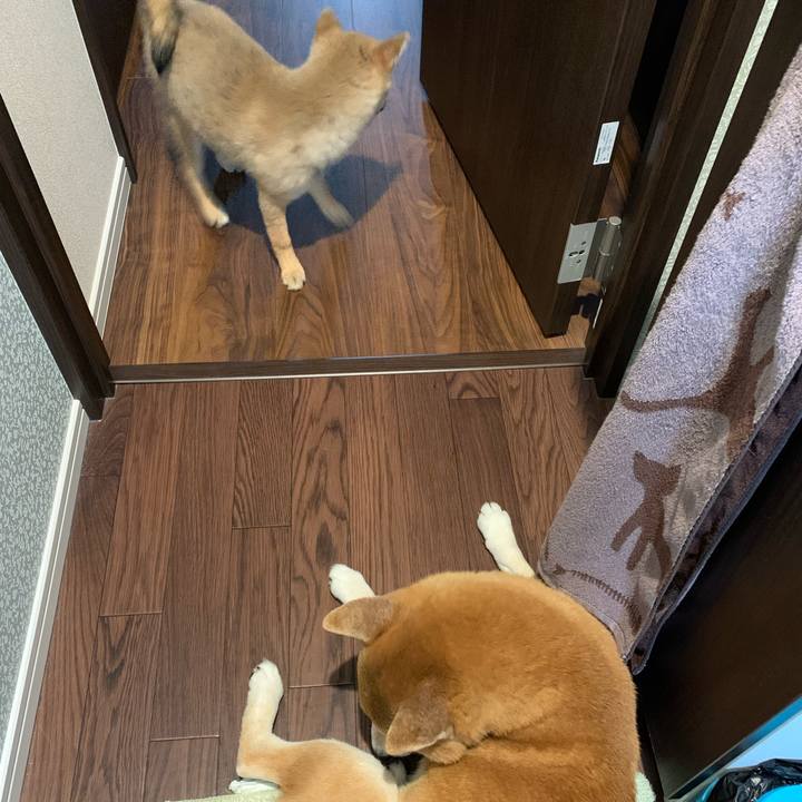 A429f669 7fc4 4f3c ad83 0681243f3ee4 1619842801498