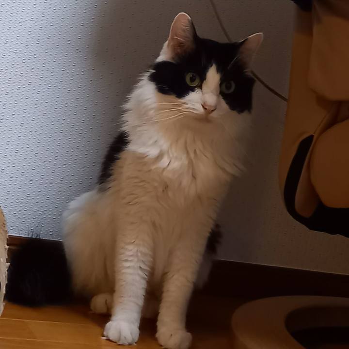 A42a4b72 9827 467e bbf9 4bf5912c16a8 1693429609845