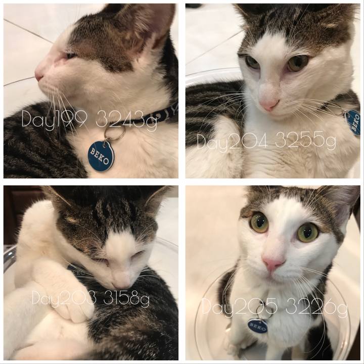 A42a57ee 13cb 4fa5 86e8 f090b5d4980b 1511416829795