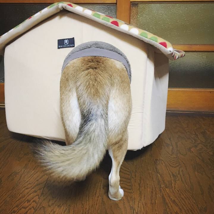 A42a6767 3869 4904 84bb 2be96f36e4f5 1514746020355