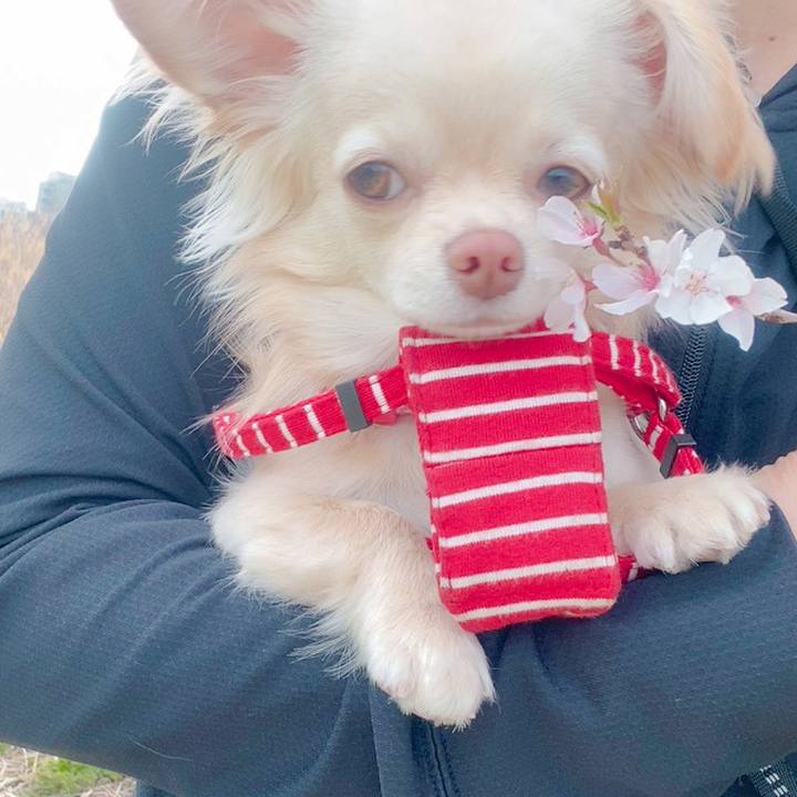 A42a7206 fe27 4128 8a7a bb4316a1fa0c 1615888773613