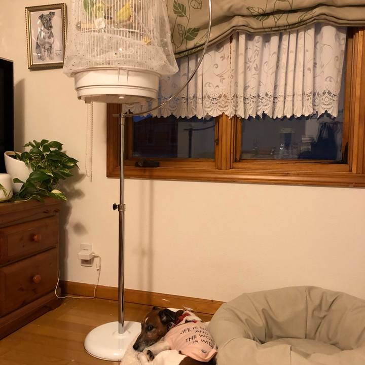 A42a87a8 8dbd 4e6b 9ec8 7350811f656a 1604011881090