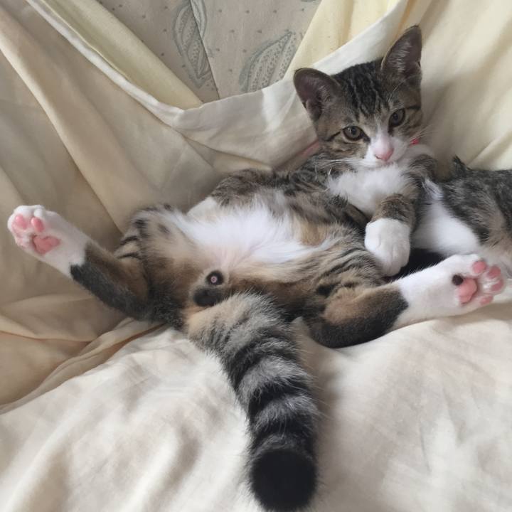 A42aaa7b 316b 408a 8464 9e02b11eec15 1656983395934