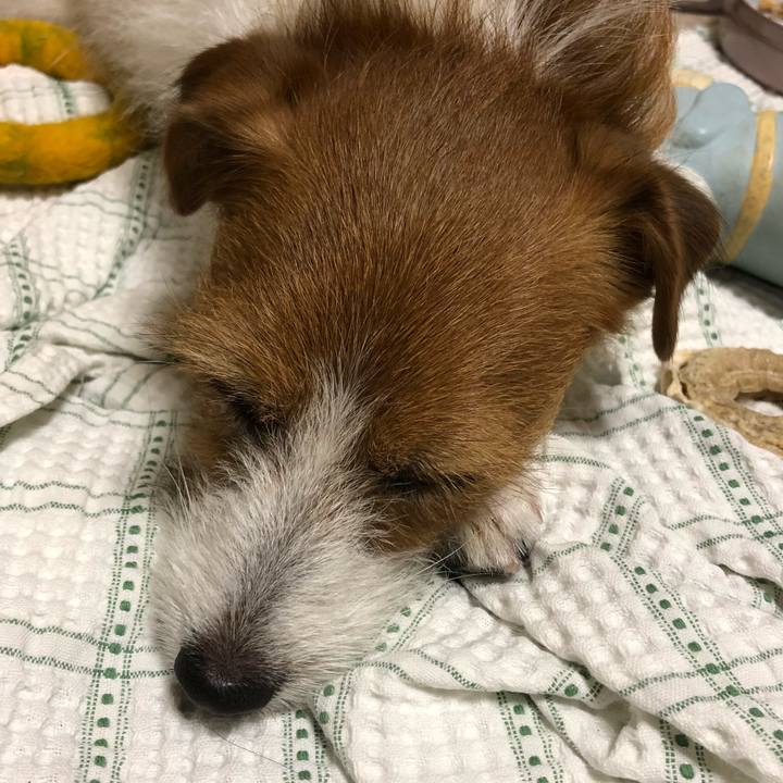 A42ae472 9afe 4621 b4e6 08670d55feab 1530555911612