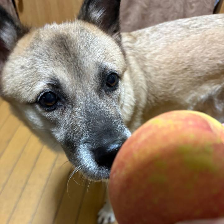 A42af97a ae74 4c2d 9740 ca68fccf3dd6 1760963770412