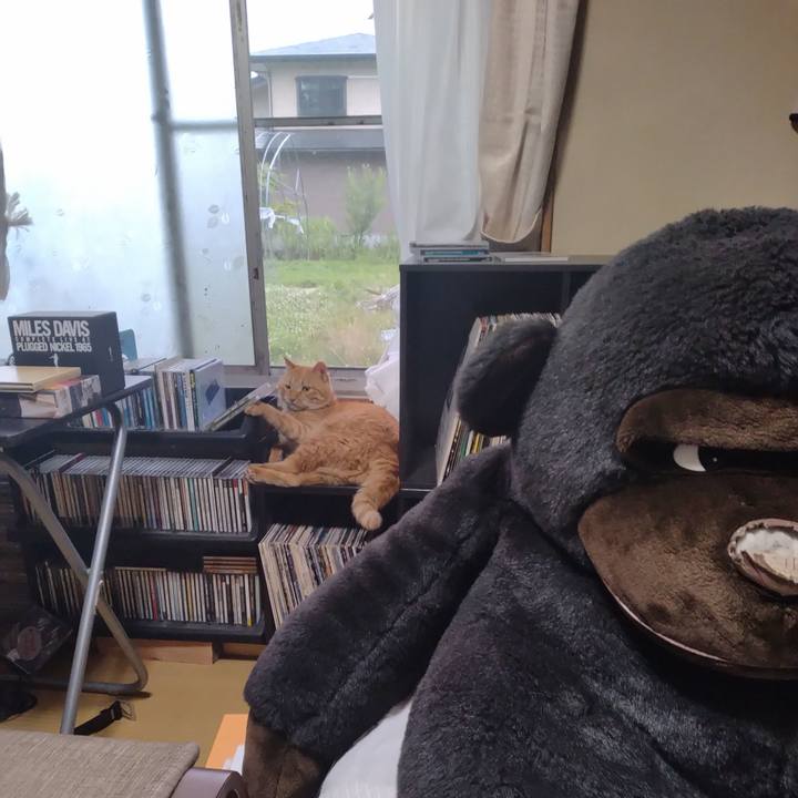 A42b2352 9193 46be b635 8ab8facdcdb6 1688766627438