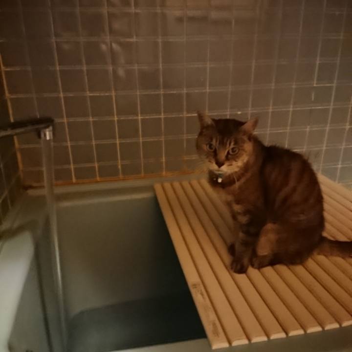 A42b2ec1 755b 4ac0 b0e7 9a99fe5720de 1570527190671