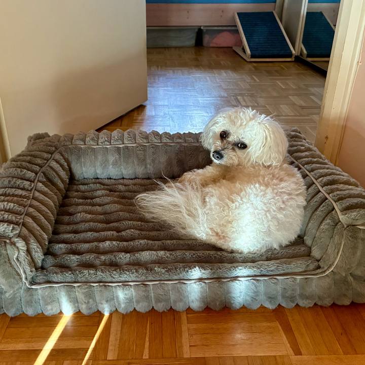 A42b3eb6 5cb2 4bcf b135 49959cfecc18 1774535813835