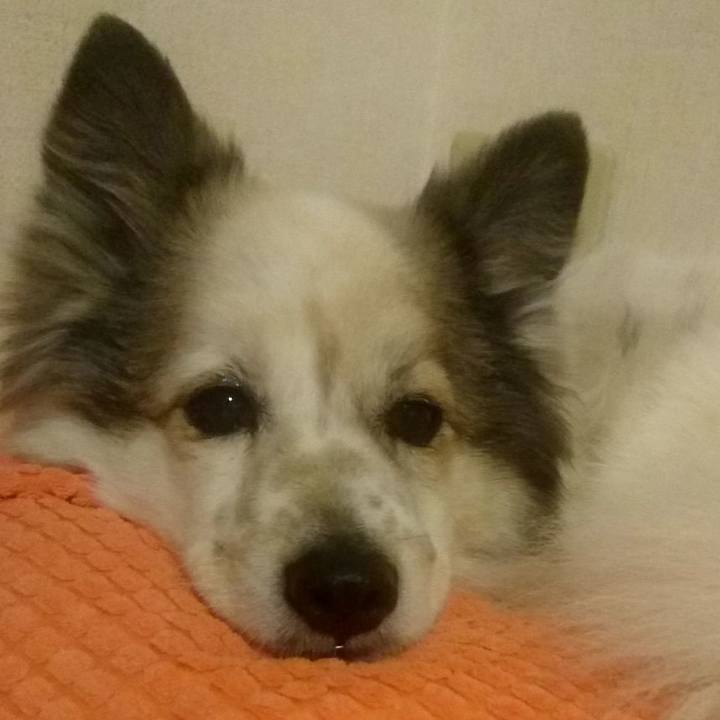 A42b4bcc 9c0b 4138 b66d 55ab1ce0e178 1551535683310