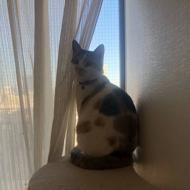 A42b7cf0 cd77 42e3 812a 8631592031af 1580860159130