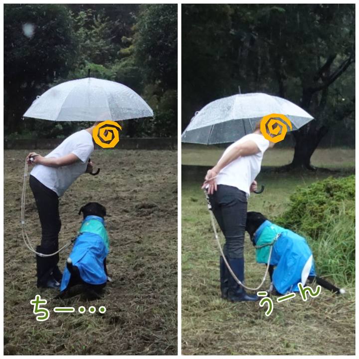 A42b8a07 cfbf 4825 b319 b5744937f1d6 1694129383369