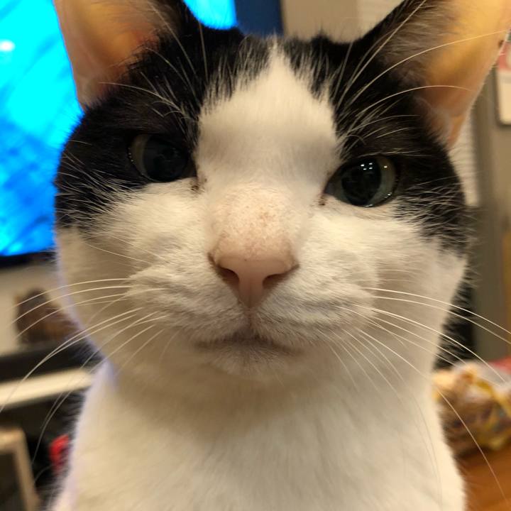 A42b9841 c846 4aef a0d0 a1e6525dfbed 1677157012054