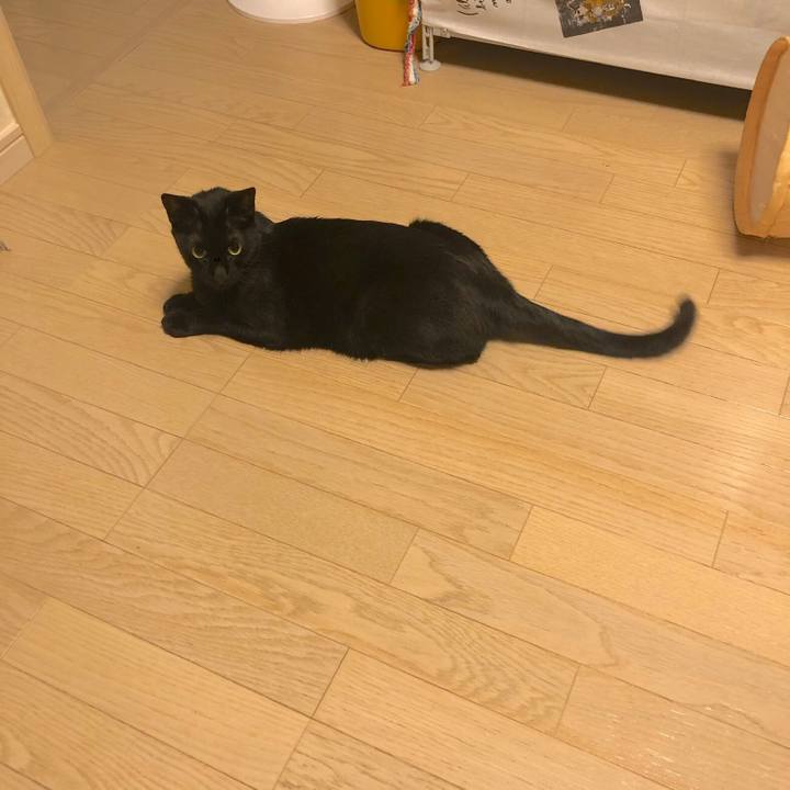 A42bfc52 42c2 4045 b64e ce3aa393b854 1560863507100