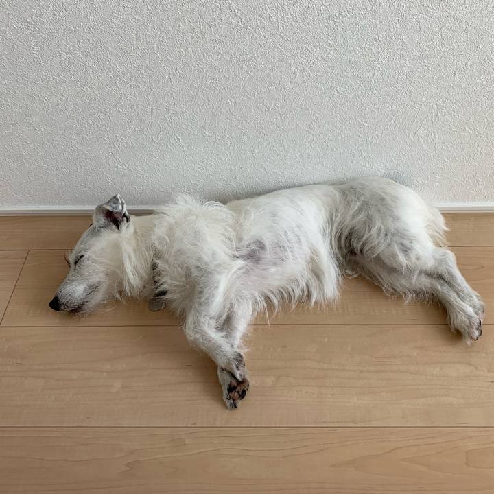 A42c0632 8637 493e 941f a2477d340887 1590298448732