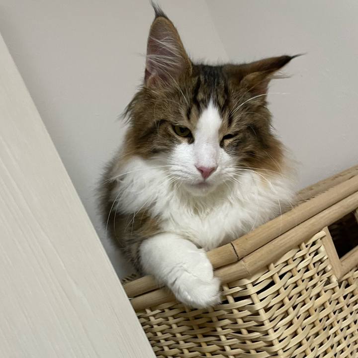 A42c66f9 44e1 491d a938 8e1f5478cb75 1638449730124