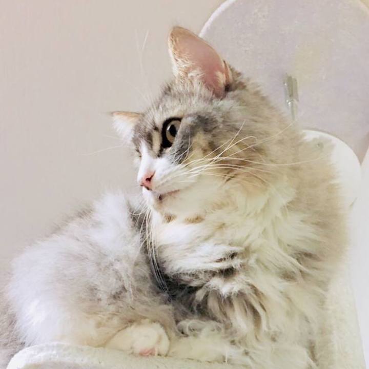 A42c76b4 bd99 4461 9caf 6f93fc806761 1525626697314