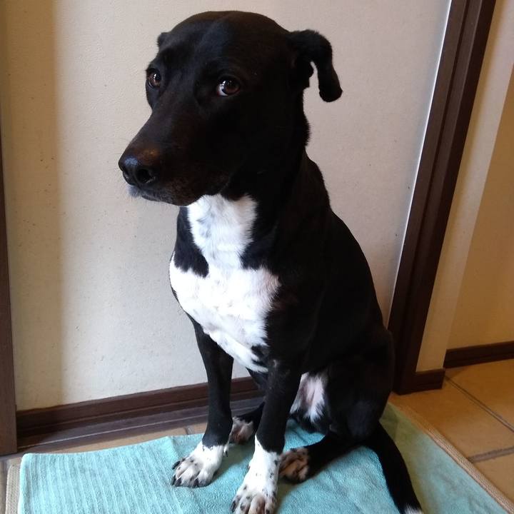 A42c97f0 4cfa 4165 9f5a b72224ba9cf6 1616545747387