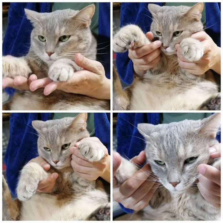 A42cb2c6 9da9 467d 9e05 08f52709a937 1628171292412