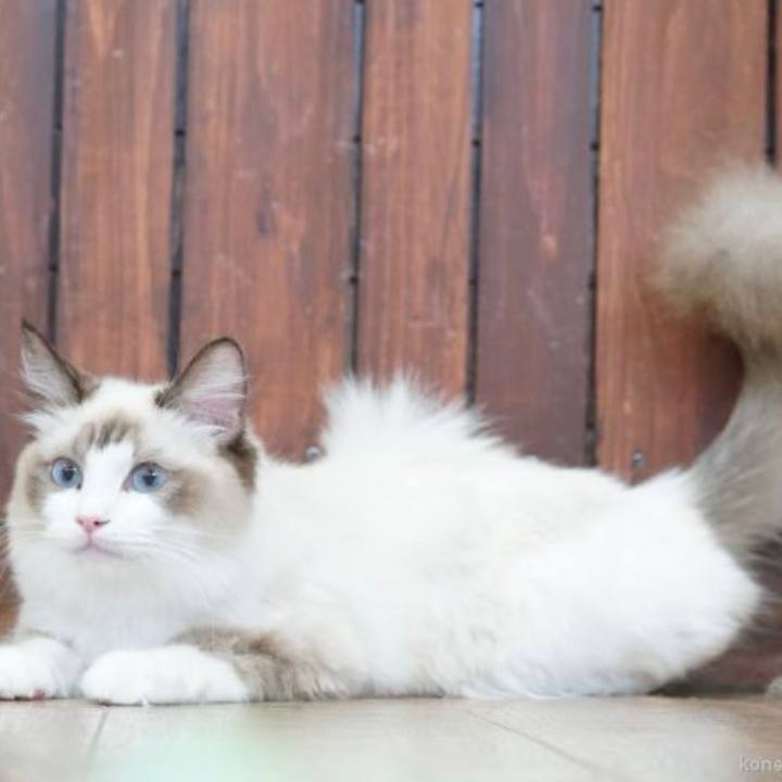 A42cb550 425f 4123 9514 23c4f22cb480 1650388191344