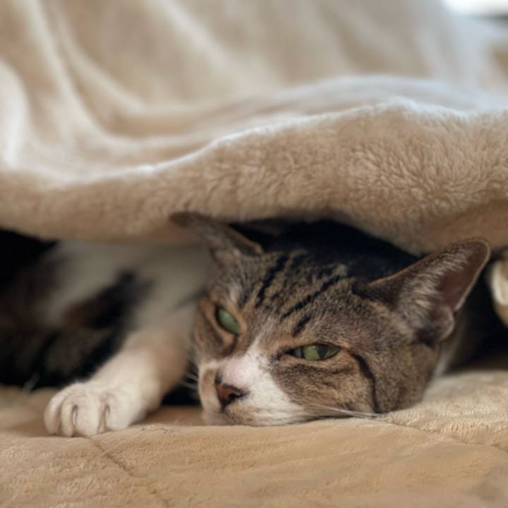 A42ce7b5 f5f1 4d16 a041 e3fd0cd8edce 1642302272797