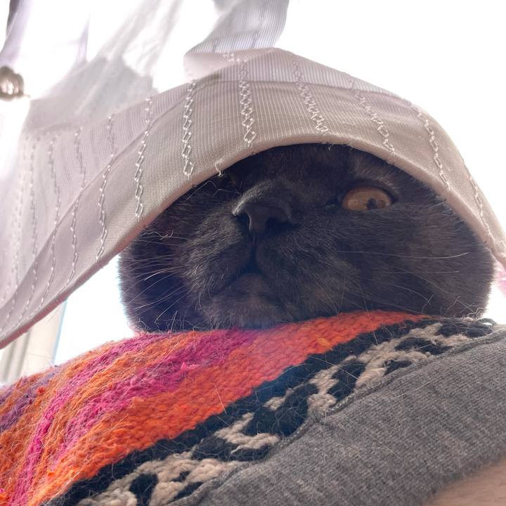 A42ceb9f 8741 4982 a34f ff93054bb385 1767920864206