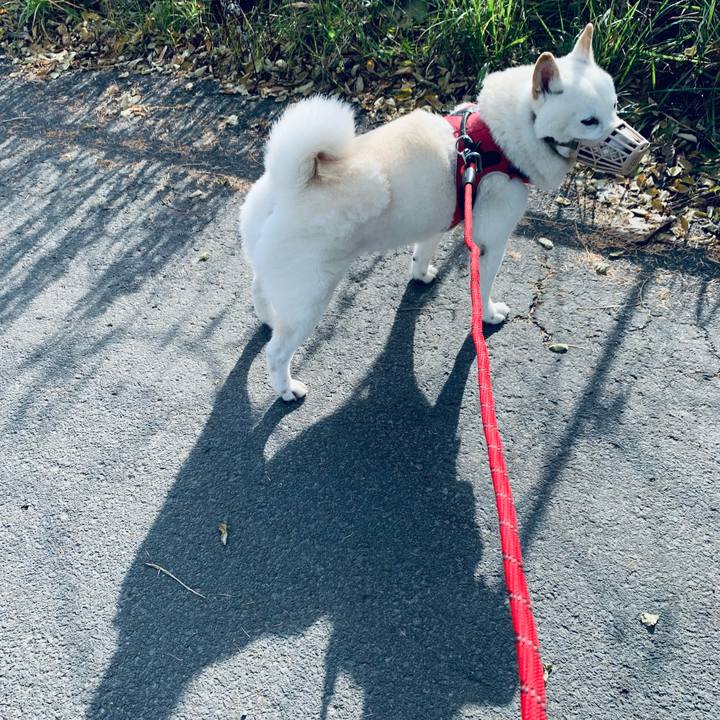 A42d0015 c3db 4d02 9470 7d2a5772d306 1636855227848