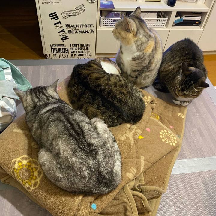 A42d2a1a cb03 40c5 a9b9 005d52e9e11e 1652096243396