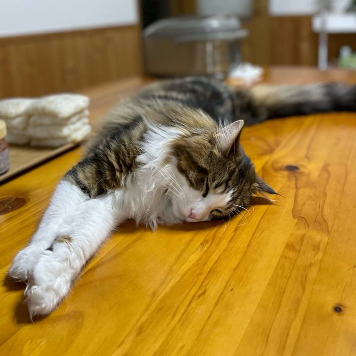 A42d58c6 ba4a 46e2 9da1 ec70cfc311dd 1644315834871