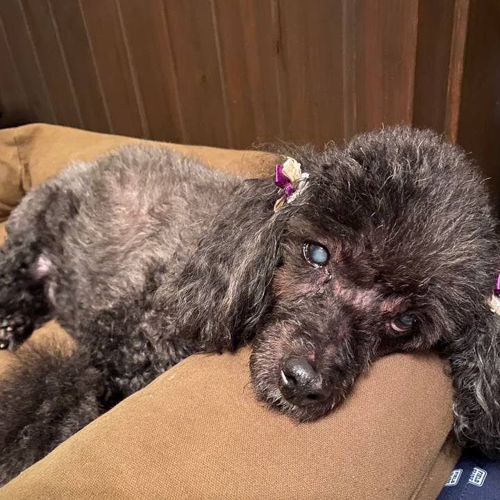 A42d6703 d26c 4688 b693 2526c1e5edf7 1600167862147