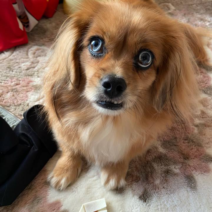 A42d7631 6e9f 47f9 80c9 d5e96fa9f459 1603231394247