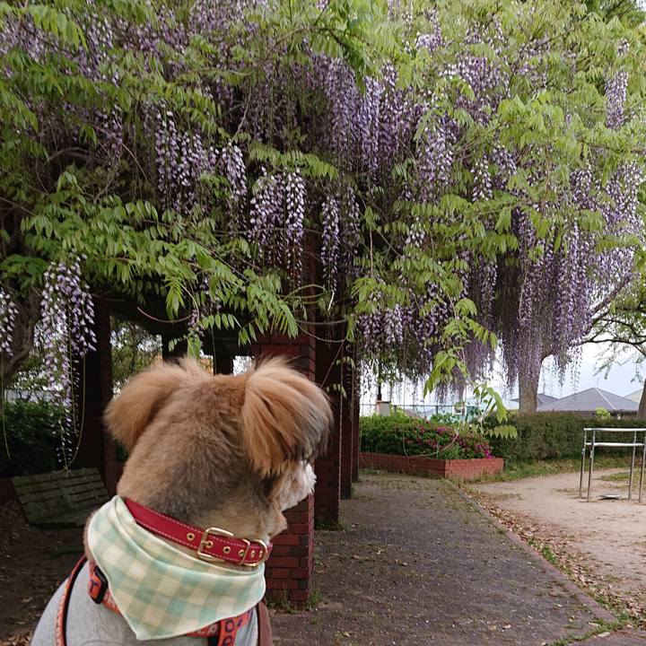 A42d7d66 b863 4a88 a8a7 b2c87fbb7bfd 1555843897633