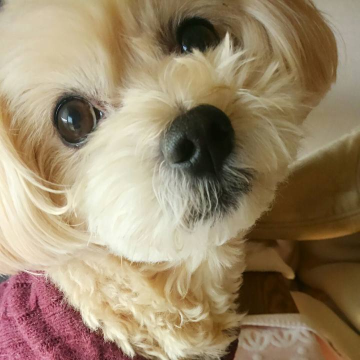 A42d96d3 b26e 4673 bc17 43f317bd2734 1519623676496