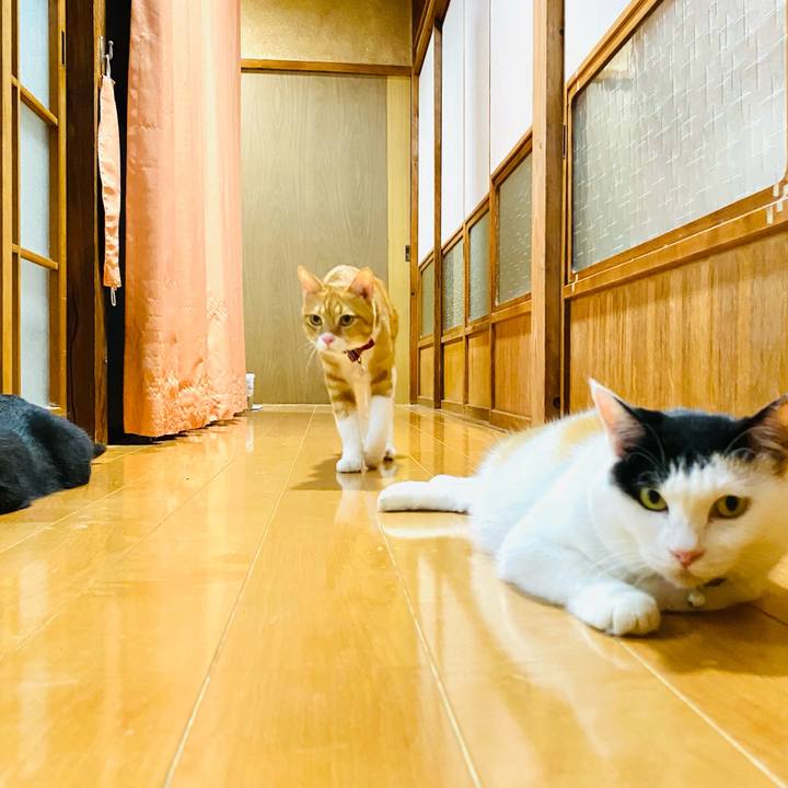 A42dc63a 7666 4095 8b1e 2636b946933c 1691243042710