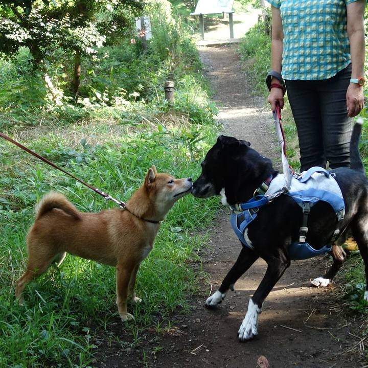 A42dcf9d d8a8 4f8d 8c25 9a2302d6ff62 1721434287948