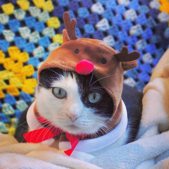 A42de335 65da 4e74 bc0a 753daaf8b888 1671932039415