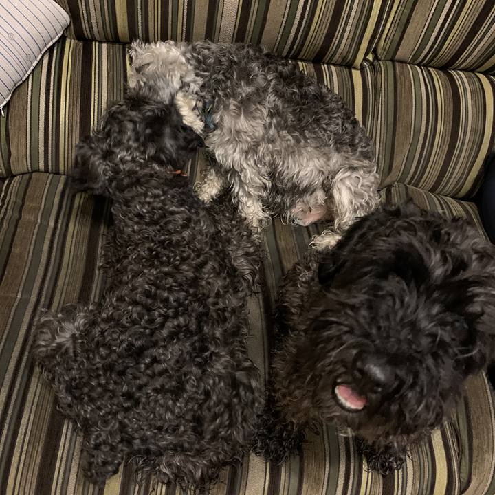 A42e0e64 ab36 41c1 933a ae364203efd8 1591873572501