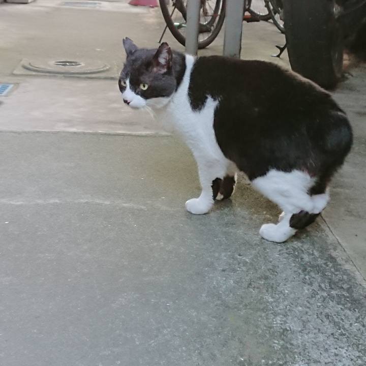 A42e2957 9921 4129 85ab fa7e82e428db 1587814756526