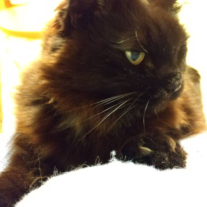 A42e4af9 0436 4976 8216 e1a0e9981425 1648382375149