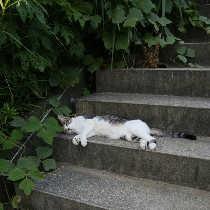 A42e5aa7 9e01 4677 bfe4 1446100ab194 1533901627547