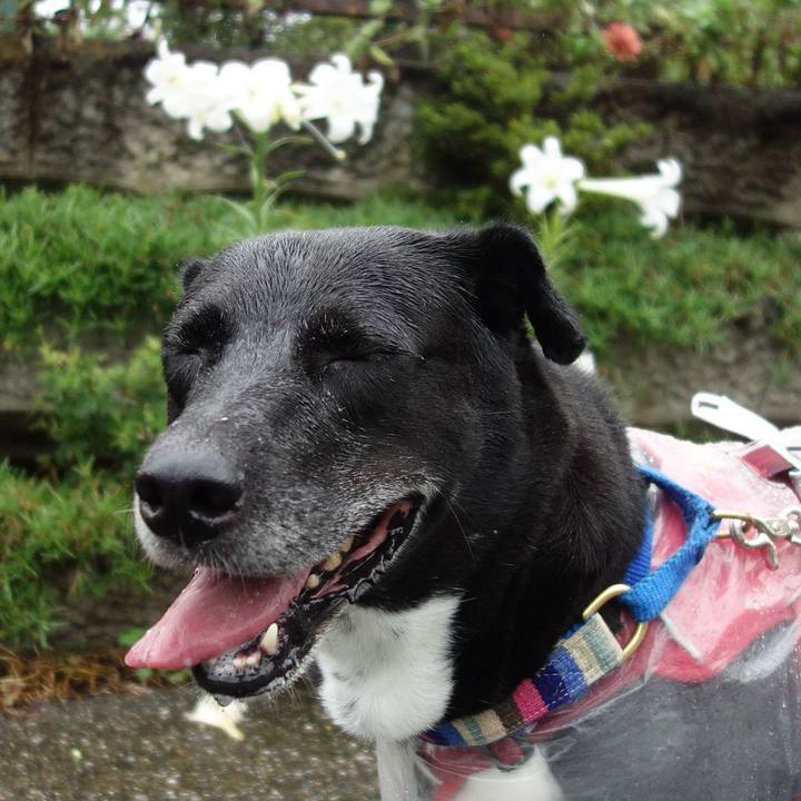 A42e7d2a 09cd 44d8 98f9 8106bfcf4ec1 1660780594833